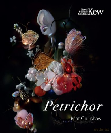 Petrichor - Mat Collishaw [KSIĄŻKA]