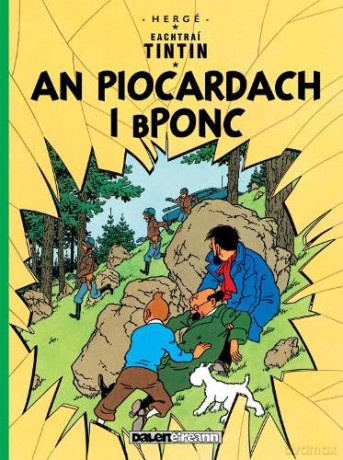 Piocardach I Bponc - Herg [KSIĄŻKA]