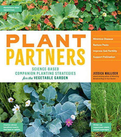 Plant Partners - Jessica Walliser [KSIĄŻKA]