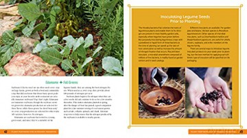 Plant Partners - Jessica Walliser [KSIĄŻKA]