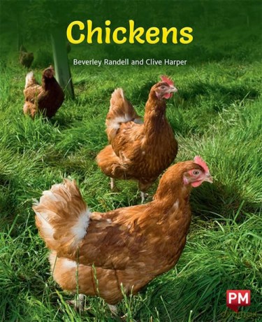 Pm Purple: Chickens Pm Non-Fiction Level - Beverley Randell [KSIĄŻKA]