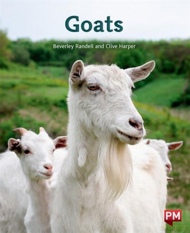 Pm Purple: Goats Pm Non-Fiction Levels - Beverley Randell [KSIĄŻKA]