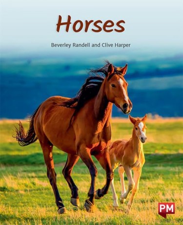 Pm Purple: Horses Pm Non-Fiction Levels - Beverley Randell [KSIĄŻKA]