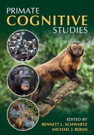 Primate Cognitive Studies - Edited By Bennett L. [KSIĄŻKA]
