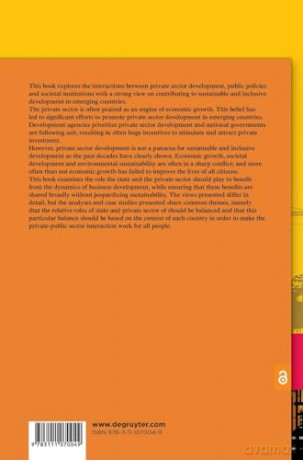 Private Sector Development In An Emergin - Diederik Boer [KSIĄŻKA]