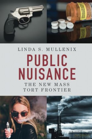 Public Nuisance - Mullenix Linda S. [KSIĄŻKA]