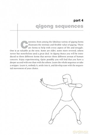 Qigong Basics - Ellae Elinwood [KSIĄŻKA]