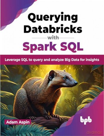 Querying Databricks With Spark Sql Lever [KSIĄŻKA]