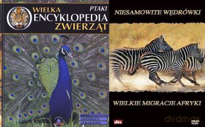 Wielka encyklopedia zwierząt. Ptaki. Tom 11 [KSIĄŻKA]