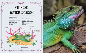 Real-Life Dragons And Their Stories Of - Anita Ganeri [KSIĄŻKA]