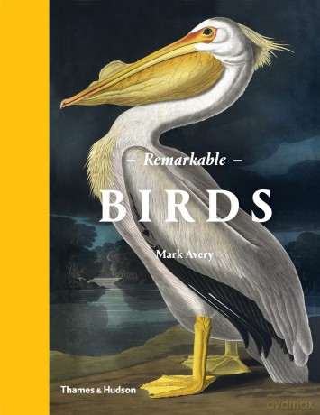 Remarkable Birds - Mark Avery [KSIĄŻKA]