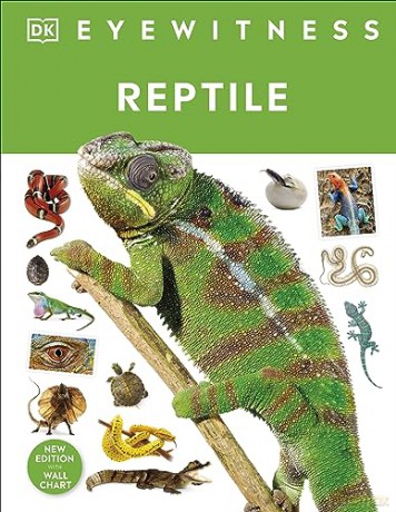 Reptile - Dk [KSIĄŻKA]