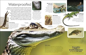 Reptile - Dk [KSIĄŻKA]