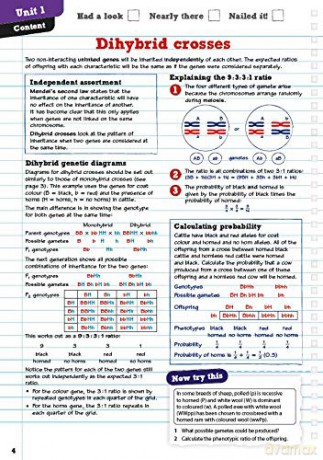 Revise Btec National Animal Management R [KSIĄŻKA]