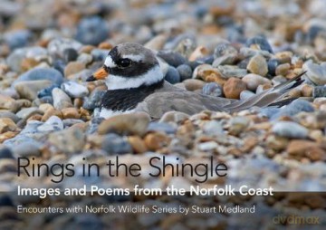 Rings In The Shingle - Stuart Medland [KSIĄŻKA]