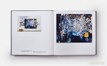 Sarah Sze Paintings - Sze Sarah [KSIĄŻKA]