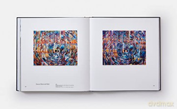 Sarah Sze Paintings - Sze Sarah [KSIĄŻKA]
