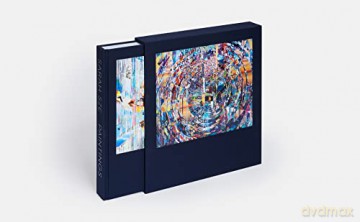 Sarah Sze Paintings - Sze Sarah [KSIĄŻKA]