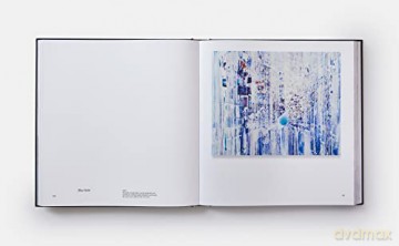 Sarah Sze Paintings - Sze Sarah [KSIĄŻKA]