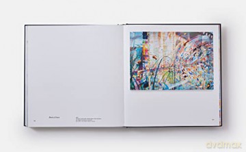 Sarah Sze Paintings - Sze Sarah [KSIĄŻKA]