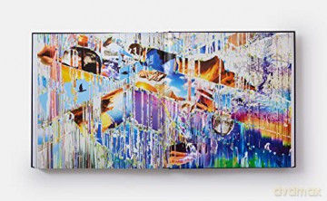 Sarah Sze Paintings - Sze Sarah [KSIĄŻKA]