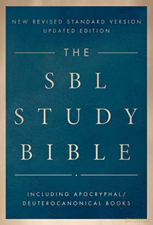 Sbl Study Bible - Society Of Biblical [KSIĄŻKA]