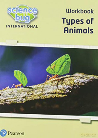 Science Bug International Year 1 Workbo - Herridge Deborah [KSIĄŻKA]