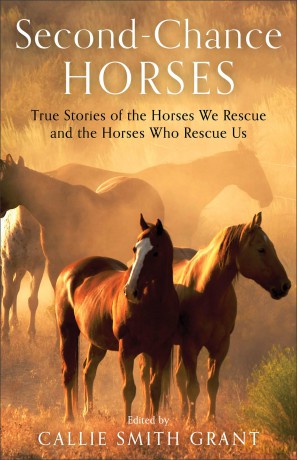 Secondchance Horses - Callie Smith Grant [KSIĄŻKA]