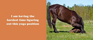 Secret Thoughts Of Horses - Cj Rose (Author) [KSIĄŻKA]