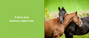 Secret Thoughts Of Horses - Cj Rose (Author) [KSIĄŻKA]