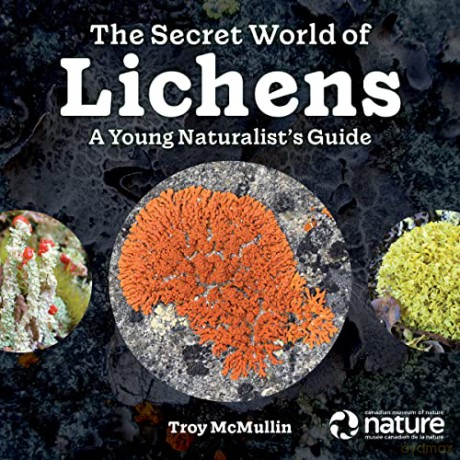 Secret World Of Lichens - Troy Mcmullin [KSIĄŻKA]