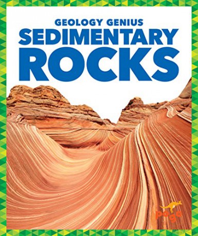 Sedimentary Rocks - Rebecca Pettiford [KSIĄŻKA]