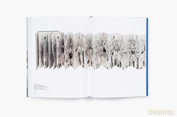 Seen In The Mirror Things From The Car - Luke Syson Introduc [KSIĄŻKA]