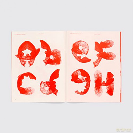 Spin Adventures In Typography 2 [KSIĄŻKA]