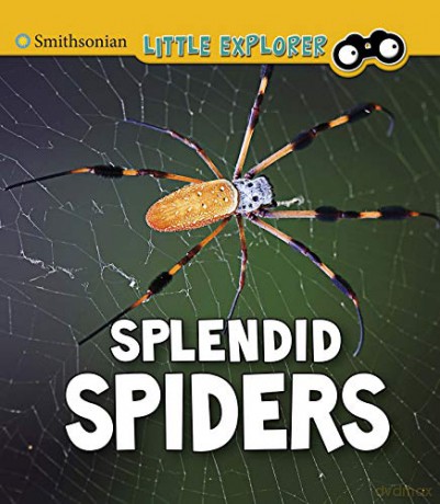 Splendid Spiders - Melissa Higgins [KSIĄŻKA]
