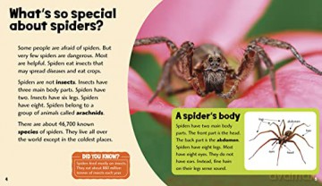 Splendid Spiders - Melissa Higgins [KSIĄŻKA]