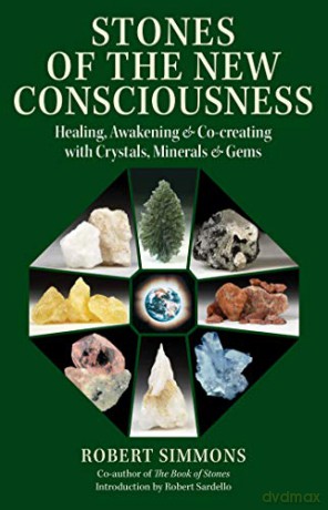 Stones Of The New Consciousnpa - Robert Simmons [KSIĄŻKA]