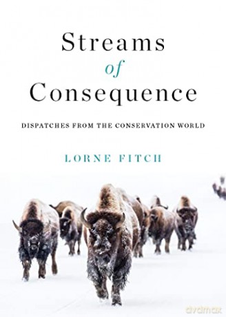 Streams Of Consequence [KSIĄŻKA]