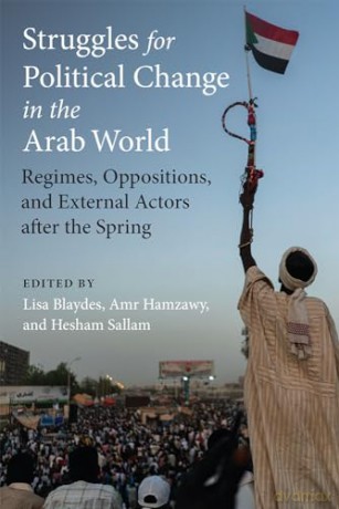 Struggles For Political Change In The Ar - Blaydes Hamzawy S [KSIĄŻKA]