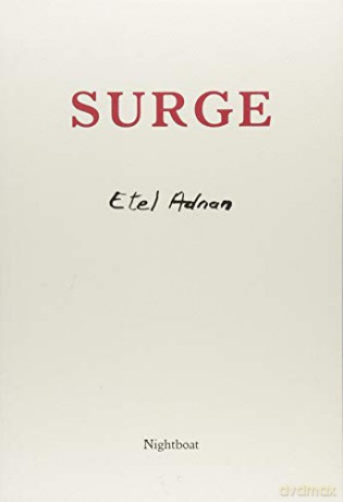 Surge [KSIĄŻKA]