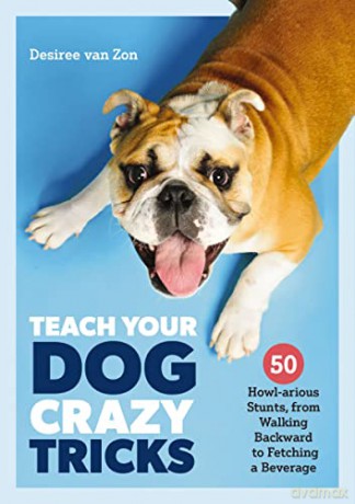 Teach Your Dog Crazy Tricks 50 Howlariou - Desiree Van Zon [KSIĄŻKA]
