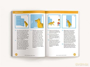 Teach Your Dog Crazy Tricks 50 Howlariou - Desiree Van Zon [KSIĄŻKA]