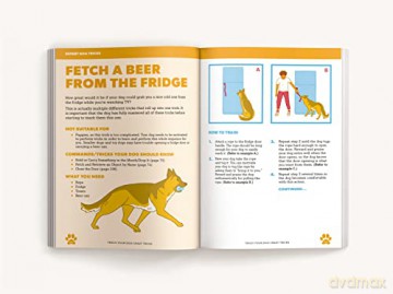 Teach Your Dog Crazy Tricks 50 Howlariou - Desiree Van Zon [KSIĄŻKA]