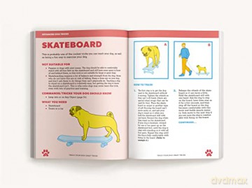 Teach Your Dog Crazy Tricks 50 Howlariou - Desiree Van Zon [KSIĄŻKA]