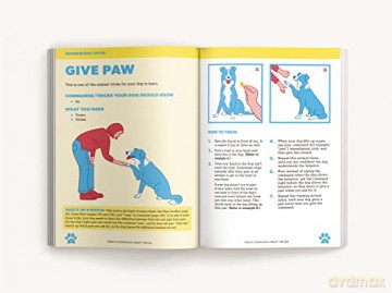 Teach Your Dog Crazy Tricks 50 Howlariou - Desiree Van Zon [KSIĄŻKA]