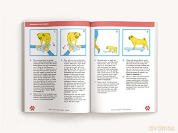 Teach Your Dog Crazy Tricks 50 Howlariou - Desiree Van Zon [KSIĄŻKA]