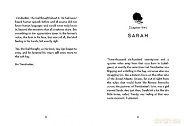 The Flying Horse Once Upon A Horse - Sarah Maslin Nir [KSIĄŻKA]