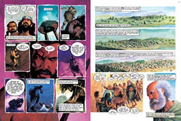 The Lion Graphic Bible 2nd Edition - Anderson [KSIĄŻKA]