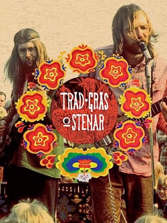 Tr D Gr S Och Stenar - H Kan Agns Ter [KSIĄŻKA]