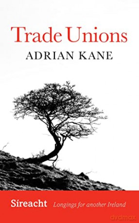 Trade Union Renewal/Sanguine Boundray Li - Adrian Kane [KSIĄŻKA]